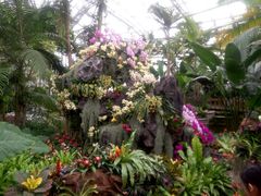 -北京植物园-展览温室