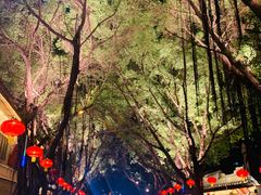 -酸喜·三度酸·贵州味