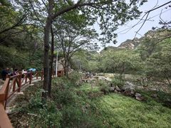 -大岭沟猕猴桃谷风景区