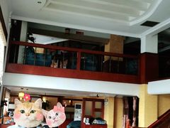 -OLD TREE老树咖啡·西餐厅(台山人工湖店)