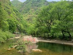 -水墨汀溪风景区