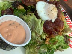 -Tubestation站点比萨(五道营店)