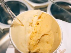 酸杏路易波士茶奶冻-Dip in Gelato(富民路店)