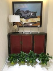 -咪咪比基尼脱毛专业店