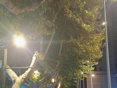 -温莎KTV(珠江路店)