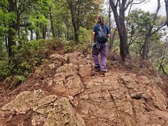 -羚羊峡古栈道森林公园