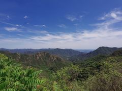 -大岭沟猕猴桃谷风景区