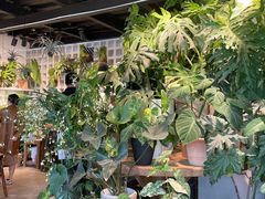 -自由生长植物工作室(深港花卉中心店)