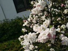 -义顺牛奶公司(庇利金街店)