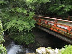-醍醐寺