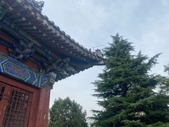 -洛阳白马寺