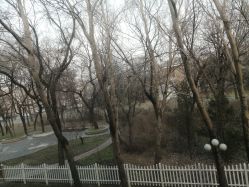 -皇家月府月子中心(沈阳店)