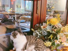-IFIF 如果花園(宽厚里店)
