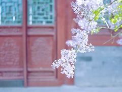 -恭王府博物馆