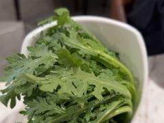 -同仁四季椰子鸡(福田东园总店)