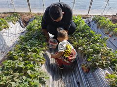 -包头市畅兴现代农业园