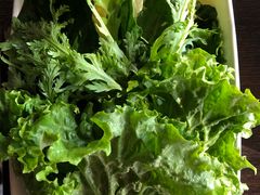 山茅野菜组合-滇釜火锅·能喝汤的火锅(车公庄店)