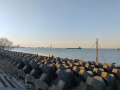 -上海滨江森林公园