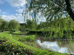 -春花秋色城市公园