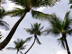 -巴拉湾海滩