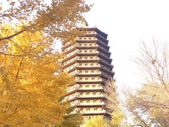 -玲珑塔公园