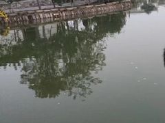 -茯茶镇