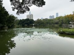 -人民公园(罗湖区)