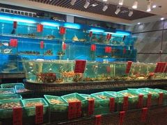 水产区-海大大蒸汽海鲜餐厅·粤菜·特色小炒(欢乐颂店)