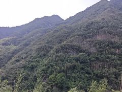 -井空里大峡谷