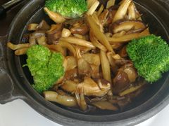 蘑菇煲-赤湾大饭堂(山海逸居店)