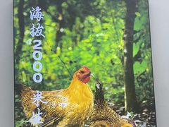 -云海肴·汽锅鸡·云南菜(高德置地店)