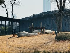 -武汉动物园