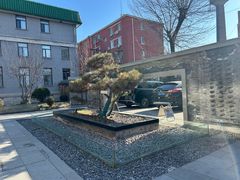 -庐灶江南·江南菜·四合院Bistro(东直门雍和宫·原华侨宾馆店)