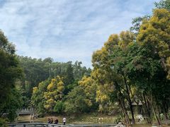 -深圳国际园林花卉博览园