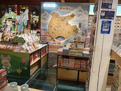 -猫的天空之城概念书店(丽江古城饮玉巷店)