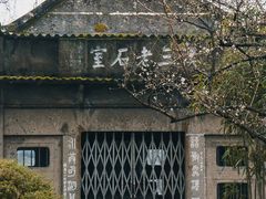 -西泠印社