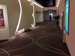 -嘉华国际影城(学清路店)