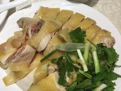 正宗白切鸡-巫记鸡饭店