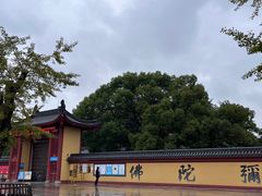 -上海东林寺(金山区)