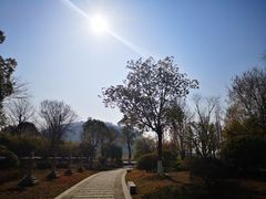 -采石矶景区