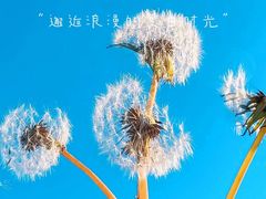 -千泷沟大瀑布旅游区