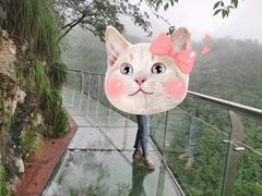 -千岛湖石林