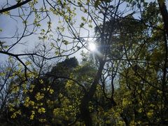 -梅岭月亮湾山体公园
