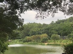 -南国桃园旅游度假区