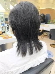 -BEAUTY HAIR GANO