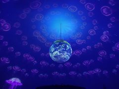 -上海海昌海洋公园-停车场