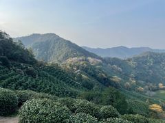 -龙井壹号·茶缘山景宴(龙井村店)