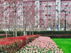 景点-静安雕塑公园