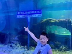 -常州海昌海洋探索馆