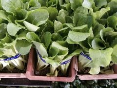 android_upload_pic-老东营·东营菜(西四路店)